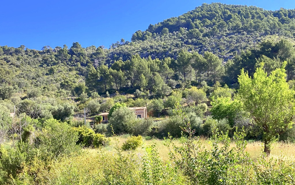 puigpunyent, Balearic Islands, Spain, 2 Dormitorios Dormitorios, ,1 BathroomBaños,Propiedades singulares,En Venta,1157