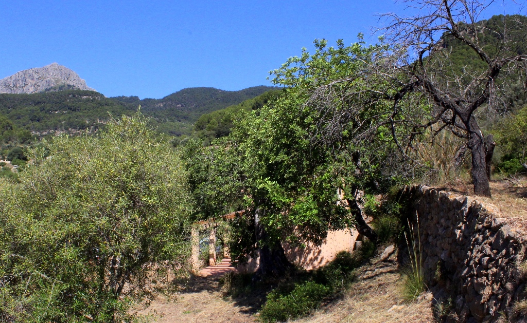 puigpunyent, Balearic Islands, Spain, 2 Dormitorios Dormitorios, ,1 BathroomBaños,Propiedades singulares,En Venta,1157